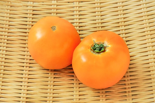 オレンジトマト（24玉サイズ）（マンゴートマト）