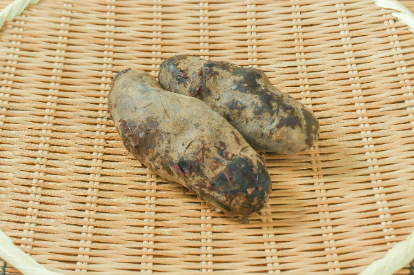 シャドークイーン（2L）500gr