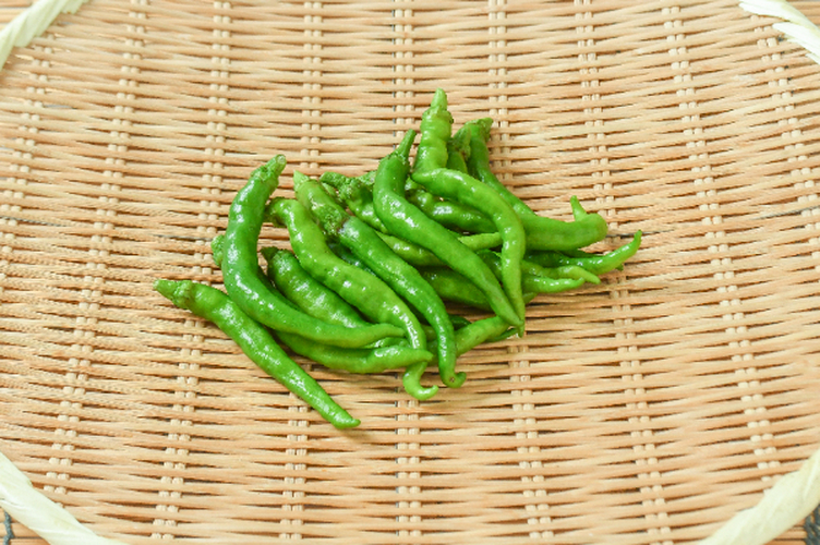 ジャンボししとう 【業務用食材の仕入れなら八面六臂】