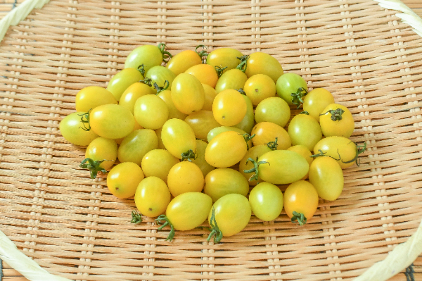 ミニトマト（プリモイエロー）（小）