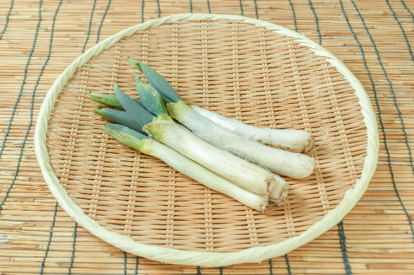 下仁田ねぎ（BM）400gr