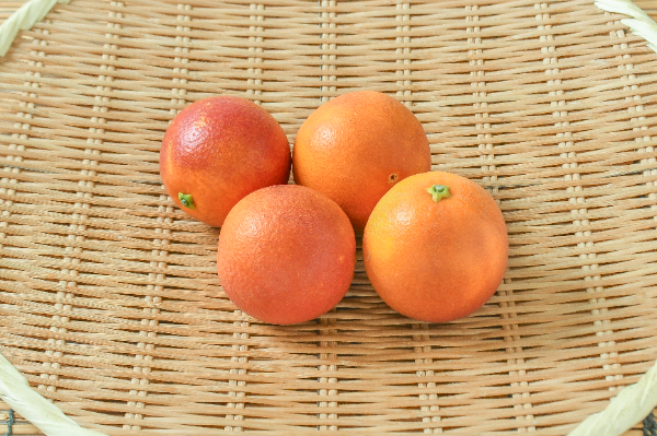 ブラッドオレンジ（L）500gr