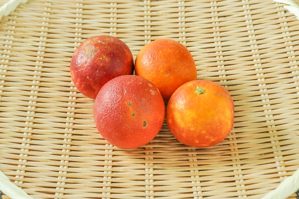 ブラッドオレンジ（L）500gr