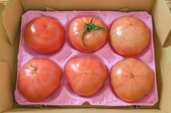 トマト（M）（小箱）