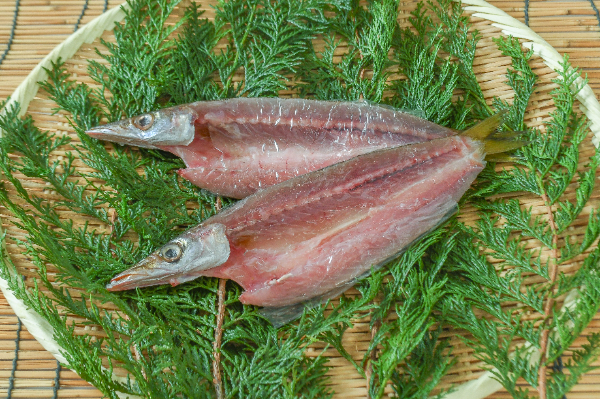 カマス開き干し（冷凍）