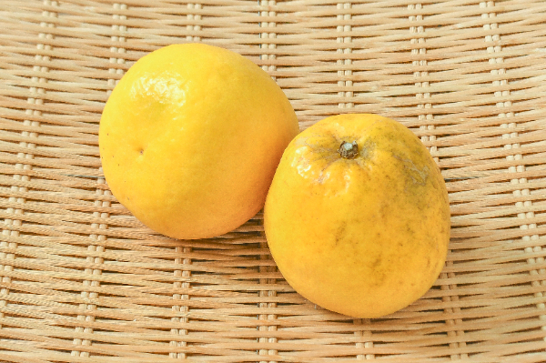 はっさく 【業務用食材の仕入れなら八面六臂】