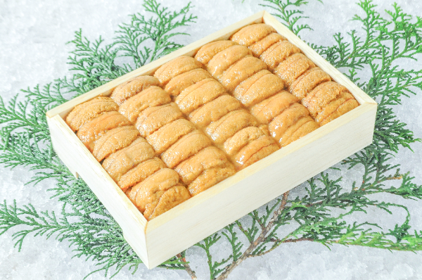 【3個セットバラ売り不可】ウサギノネドコ ウニマル　Unimaru　3個セット ウニの骨」のアクリル封入標本〜Unimaru – 株式会社ウサギノネドコ