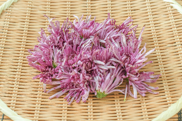 もって菊（B）100gr