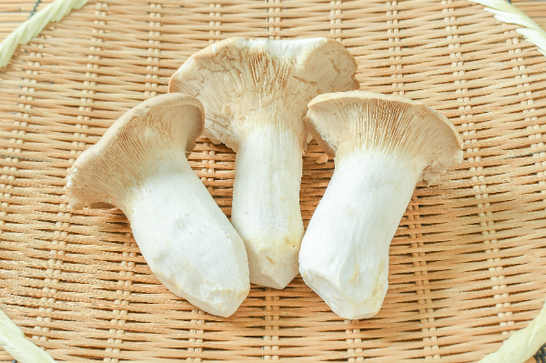 エリンギ（極太） 【業務用食材の仕入れなら八面六臂】