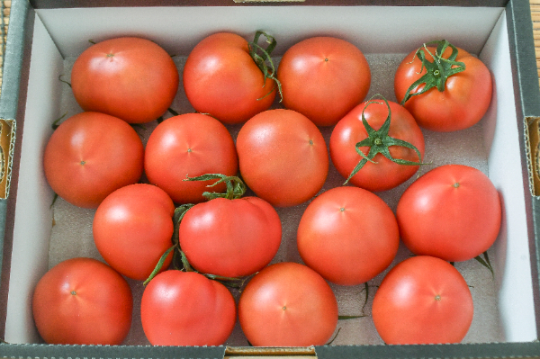 ブリックスナイン（AM）（16玉サイズ）箱1kg