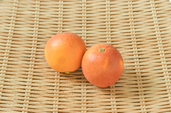 ネーブルオレンジ（4L） 【業務用食材の仕入れなら八面六臂】