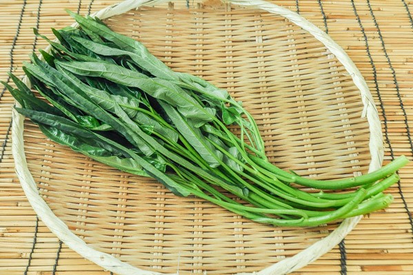 空芯菜 【業務用食材の仕入れなら八面六臂】