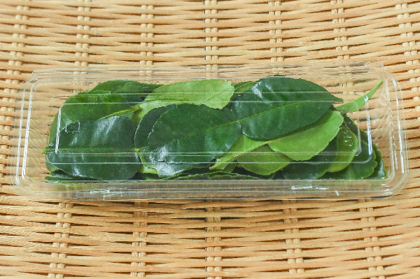 バイマックル（こぶみかんの葉） 【業務用食材の仕入れなら八面六臂】