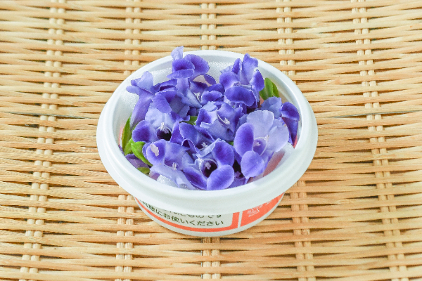 はるえいようはな 軽井沢ビール クラフトザウルス フレッシュホップエール2022」新発売