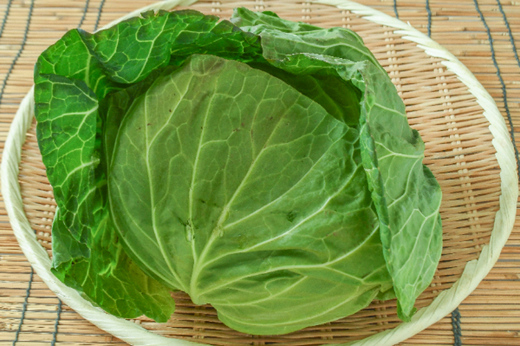キャベツ（10玉サイズ） 【業務用食材の仕入れなら八面六臂】