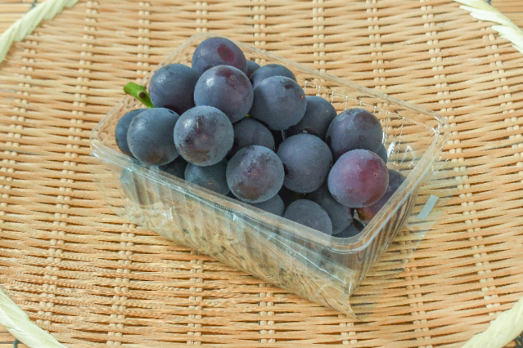 巨峰（種なし）（秀）500gr
