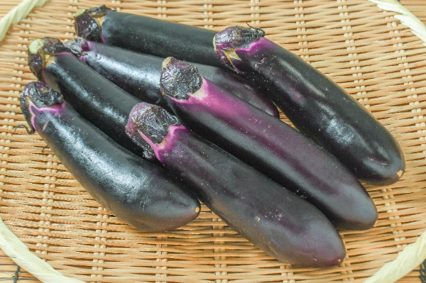 茄子　1kg