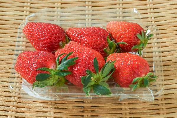 いばらキッス（2L）