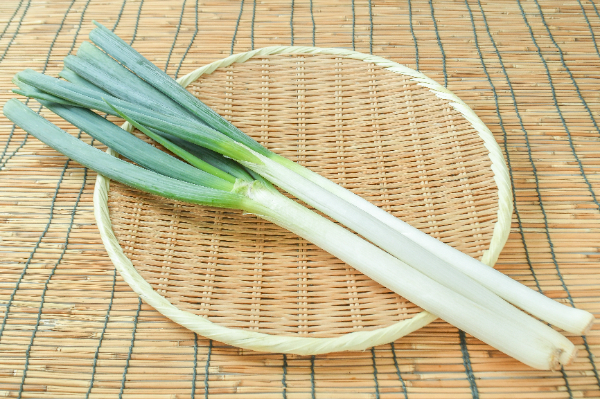 安土信長ねぎ　3入