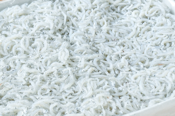 （有限会社ヤマケ海産物）釜揚げしらす