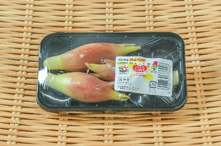 木の芽 【業務用食材の仕入れなら八面六臂】