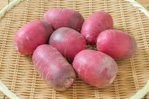 紅くるり大根（小）1.5kg