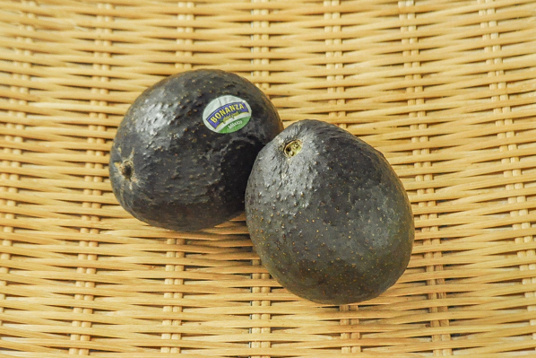 完熟アボカド 八面六臂