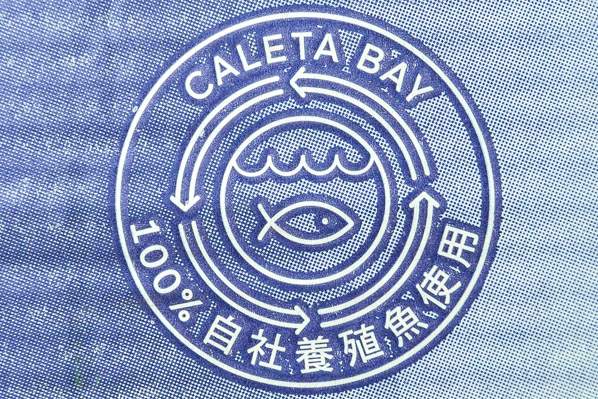 （caleta bay）サーモントラウトフィレ