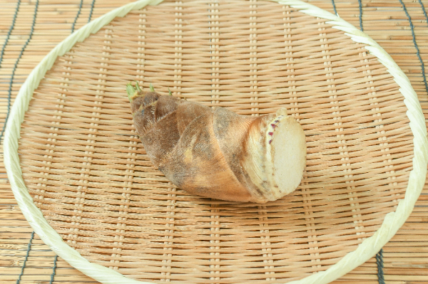 売り切れ！ツクシ　200g 採れたての土筆 土筆（つくし） 【業務用食材の仕入れなら八面六臂】