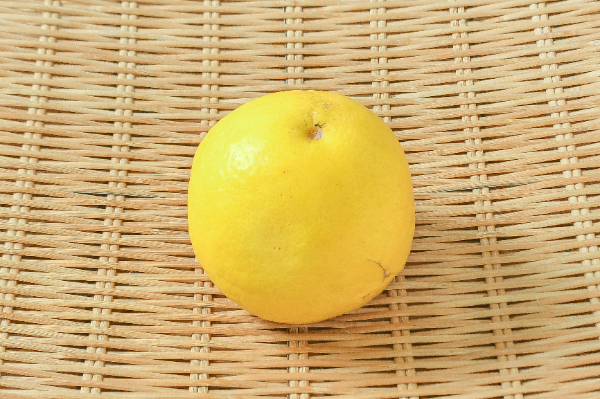 日向夏 【業務用食材の仕入れなら八面六臂】