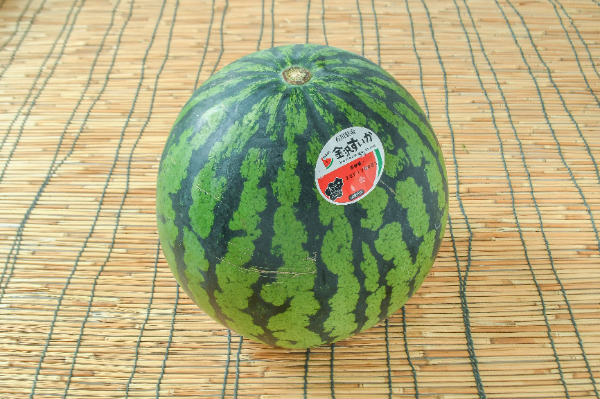 VSすいか（L）（秀） 【業務用食材の仕入れなら八面六臂】