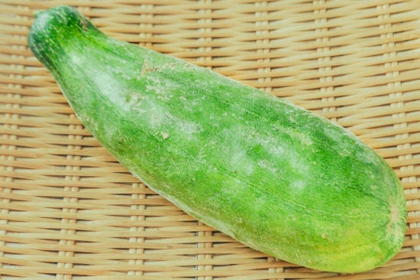 青はぐらうり（B）