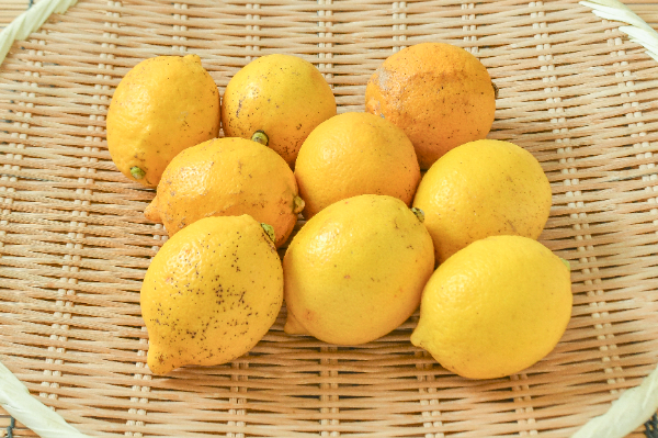 レモン（無）1kg