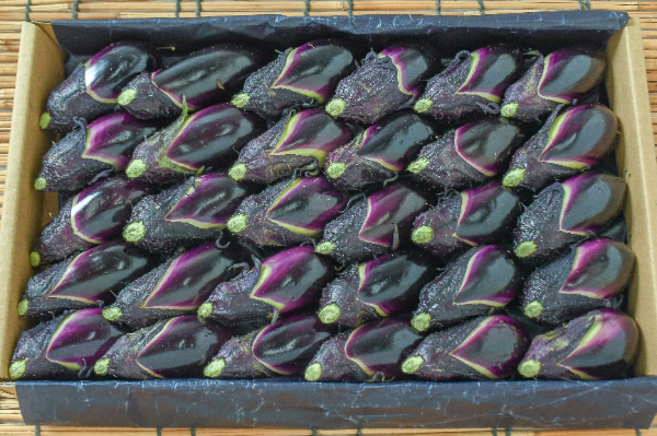 小茄子（M） 【業務用食材の仕入れなら八面六臂】