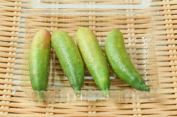 フィンガーライム（フレッシュ）80gr