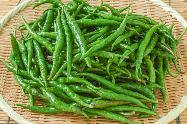 青とうがらし（B）1kg