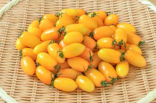 アイコトマト（黄）（L）1kg