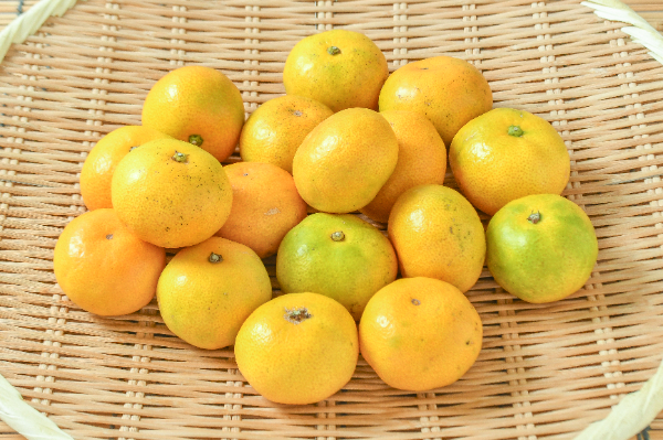 みかん（肥のあけぼの）（極早生）（2S） 【業務用食材の仕入れなら