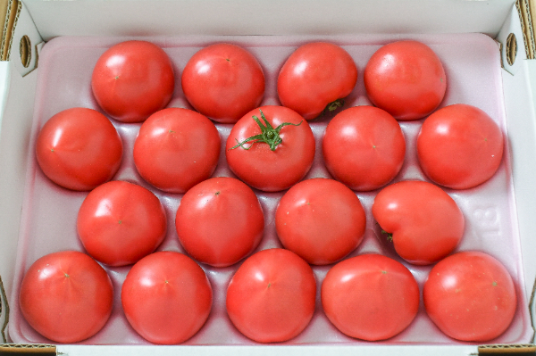 シュガートマト 【業務用食材の仕入れなら八面六臂】