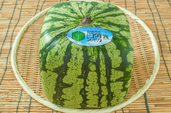 四角スイカ