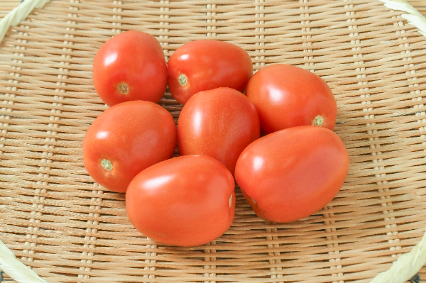 イタリアントマト