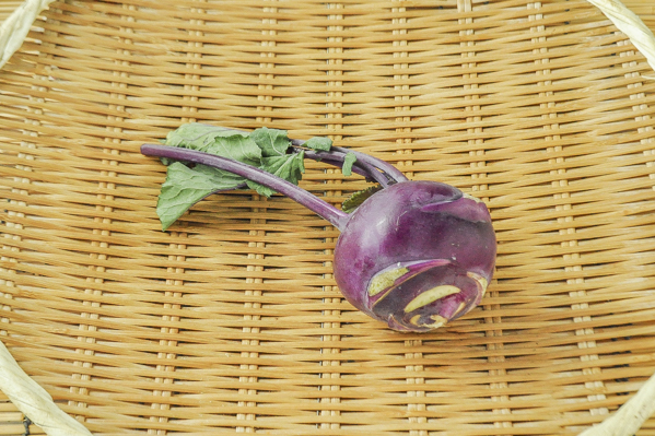 コールラビ（紫）（10玉サイズ）