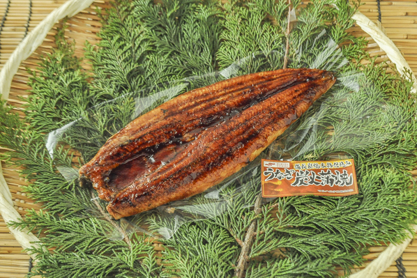 うなぎ蒲焼き　40尾サイズ