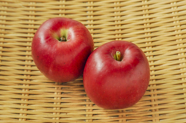 りんご（紅玉）（56玉サイズ）