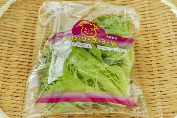 フリルレタス ハウス 水耕栽培 八面六臂