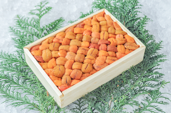 バフンウニ（Aバラ）