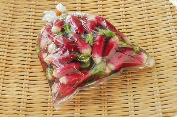 紅こけし大根(十一屋)