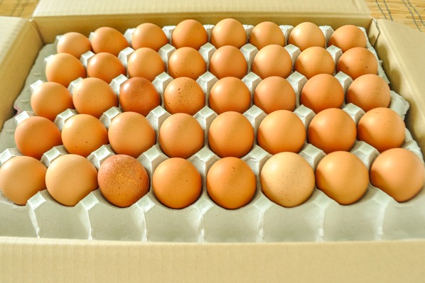 バラ詰め鶏卵（赤）（L）箱