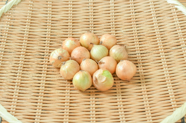 ペコロス（2S）200gr