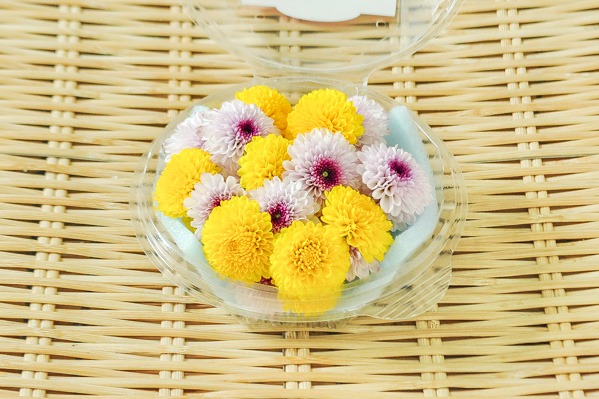 紫小菊ミックス（菊の花）（ドリームポンポン） 【業務用食材の仕入れ